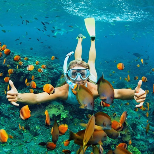 scuba point in malvan