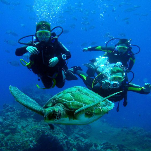 best scuba point in malvan